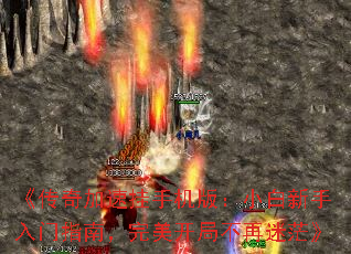 ��������ٹ��ֻ��棺С����������ָ�ϣ��������ֲ�����ã��
