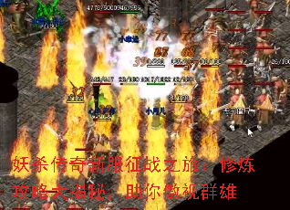 ��ɱ�����·���ս֮�ã��������Դ���أ��������Ⱥ��