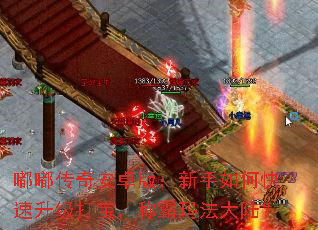�ུ��氲׿�棺������ο��������򱦣��ư��귨��½��
