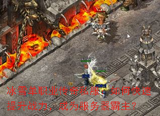 ��ѩ��ְҵ����˽������ο�������ս������Ϊ������������