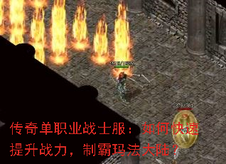 ���浥ְҵսʿ������ο�������ս�����ư��귨��½��