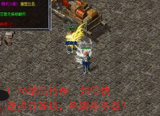 1.76��Ʒ���棺��ο��������ȼ����ưԷ�������
