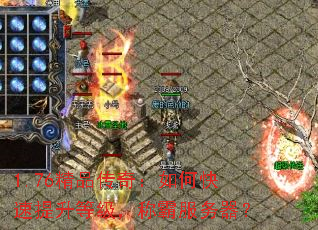 1.76��Ʒ���棺��ο��������ȼ����ưԷ�������