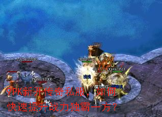 9PK�¿�����˽������ο�������ս������һ����