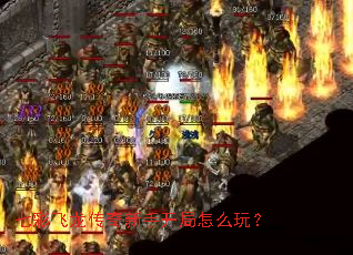 �߲ʷ����������ֿ�����ô�棿