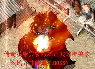 传奇私服宠物版本:我的神兽该怎么培养才能单挑BOSS? 传奇私服宠物版本:我的神兽该怎么培养才能单挑BOSS?