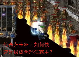 �������SF����ο���������Ϊ�귨������