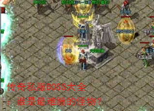 ����˽��BOSS��ȫ��˭�����Ѳ��Ĺ��