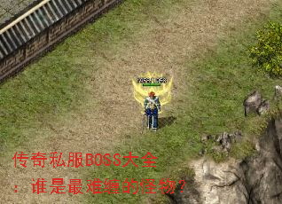 ����˽��BOSS��ȫ��˭�����Ѳ��Ĺ��