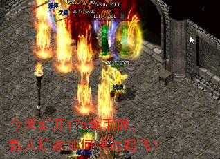 �����¿�176��Ұ棬ɢ�������ο�����ɣ�