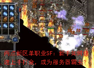 ����������ְҵSF��������ο������ִ�𣬳�Ϊ������������