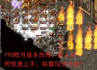 195��°汾���棺������ο������֣��ư��귨��½��