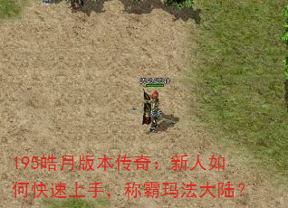 195��°汾���棺������ο������֣��ư��귨��½��