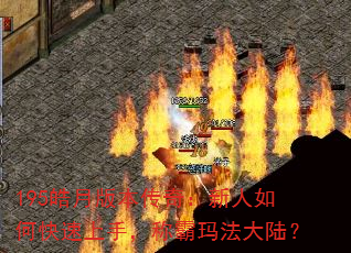 195��°汾���棺������ο������֣��ư��귨��½��