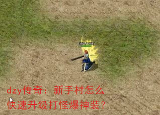 dzy���棺���ִ���ô����������ֱ���װ��