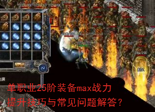 ��ְҵ25��װ��maxս�����������볣��������