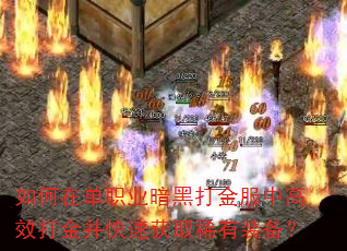 ����ڵ�ְҵ���ڴ����и�Ч��𲢿��ٻ�ȡϡ��װ����