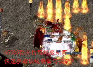 65535�¿�����˽����ο��ٻ�ȡ����װ���뼼�ܣ�