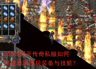 65535�¿�����˽����ο��ٻ�ȡ����װ���뼼�ܣ�