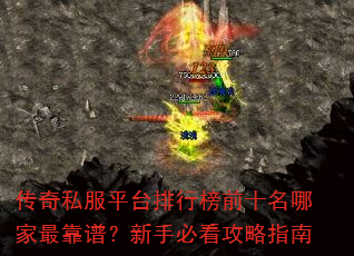 ����˽��ƽ̨���а�ǰʮ���ļ���ף����ֱؿ�����ָ��