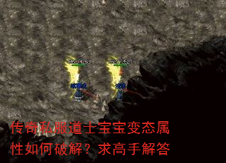 传奇私服道士宝宝变态属性如何破解?求高手解答 传奇私服道士宝宝变态属性如何破解?求高手解答