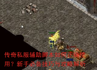 ����˽�������ű������ȷʹ�ã����ֱر������빥�Խ���