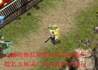 龙腾传奇私服官网下载攻略问题怎么解决?高手技巧大揭秘 龙腾传奇私服官网下载攻略问题怎么解决?高手技巧大揭秘