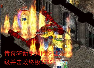 ����SF������ο��������������ռ�BOSS��