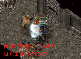 ����SF������ο��������������ռ�BOSS��