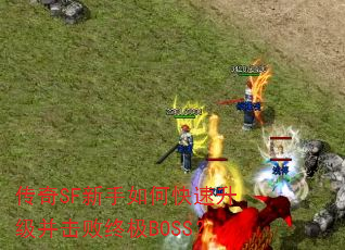 ����SF������ο��������������ռ�BOSS��