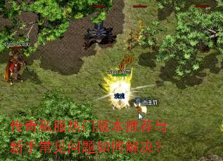 ����˽�����Ű汾�Ƽ������ֳ���������ν����