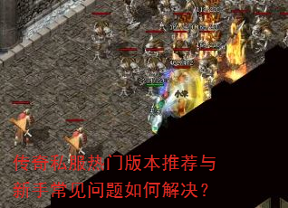 传奇私服热门版本推荐与新手常见问题如何解决? 传奇私服热门版本推荐与新手常见问题如何解决?