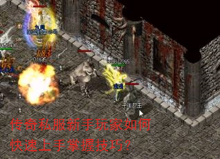 传奇私服新手玩家如何快速上手掌握技巧? 传奇私服新手玩家如何快速上手掌握技巧?