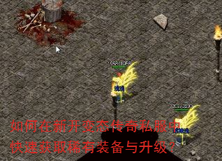 ������¿���̬����˽���п��ٻ�ȡϡ��װ����������