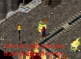 ������¿���̬����˽���п��ٻ�ȡϡ��װ����������