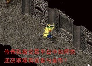 ����˽������ƽ̨����ο��ٻ�ȡϡ��װ�����ң�