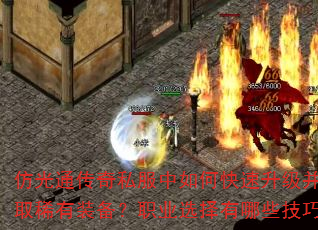 �¹�ͨ����˽������ο�����������ȡϡ��װ����ְҵѡ������Щ���ɣ�