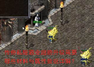 ����˽����ҵ���������Ҫ��Щ����������������⣿