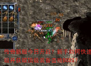�����·����տ�����������ο�����������ȡ����װ������BOSS��