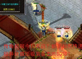 �����·����տ�����������ο�����������ȡ����װ������BOSS��