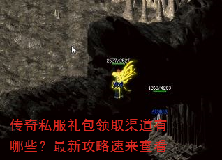 ����˽�������ȡ��������Щ�����¹��������鿴