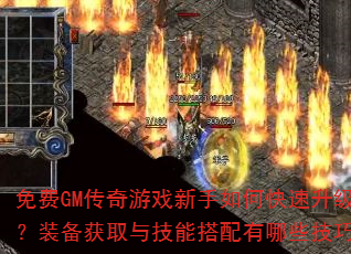 ���GM������Ϸ������ο���������װ����ȡ�뼼�ܴ�������Щ���ɣ�