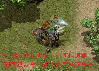 传奇SF最新版本中如何快速刷到顶级武器?新手必看技巧分享 传奇SF最新版本中如何快速刷到顶级武器?新手必看技巧分享