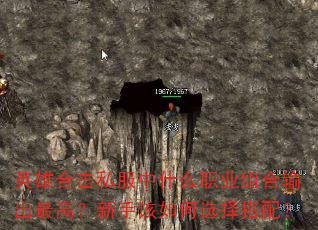 Ӣ�ۺϻ�˽����ʲôְҵ��������ߣ����ָ����ѡ����䣿