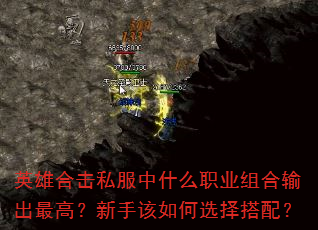 Ӣ�ۺϻ�˽����ʲôְҵ��������ߣ����ָ����ѡ����䣿
