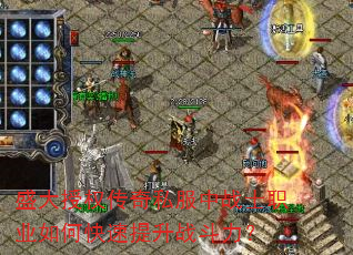 ʢ����Ȩ����˽����սʿְҵ��ο�������ս������