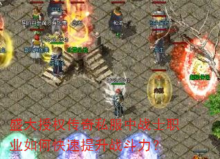 ʢ����Ȩ����˽����սʿְҵ��ο�������ս������