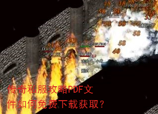 ����˽������PDF�ļ����������ػ�ȡ��