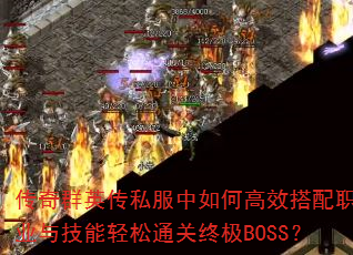 ����ȺӢ��˽������θ�Ч����ְҵ�뼼������ͨ���ռ�BOSS��