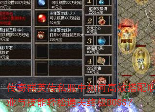 ����ȺӢ��˽������θ�Ч����ְҵ�뼼������ͨ���ռ�BOSS��